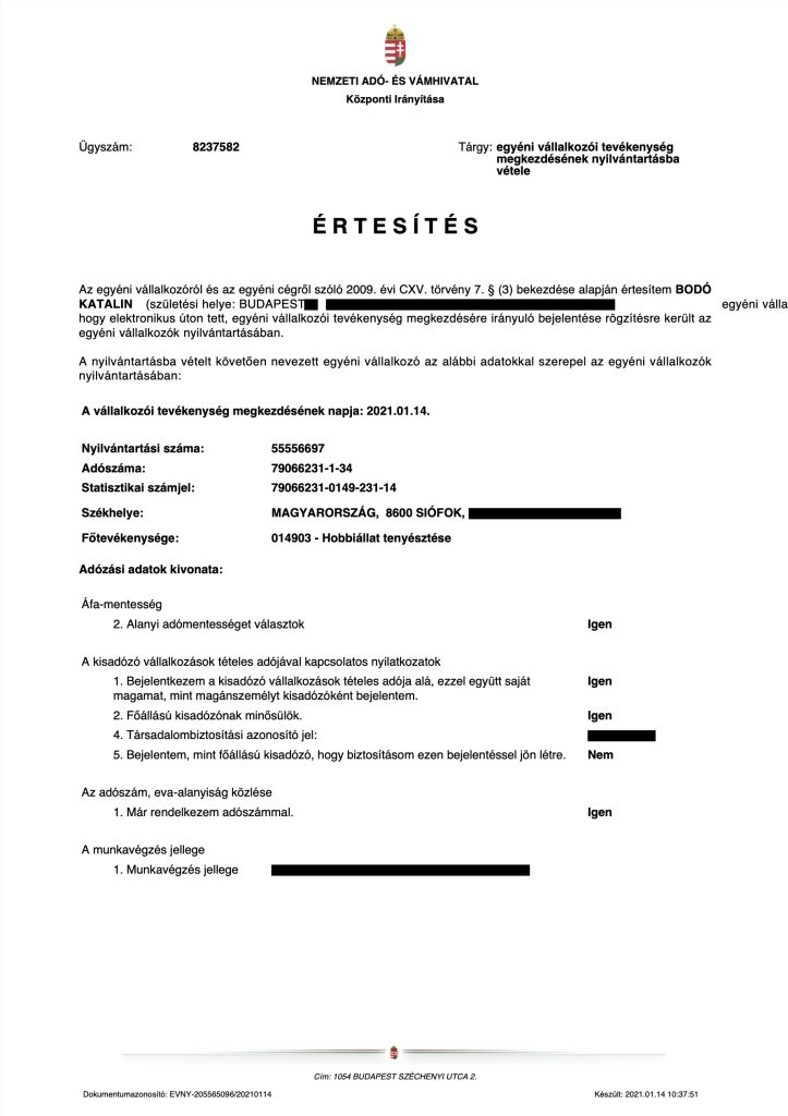 Certificado de registro de empresa individual – documento oficial