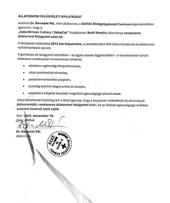 Declaración de supervisión veterinaria – Criadero Saba Birman