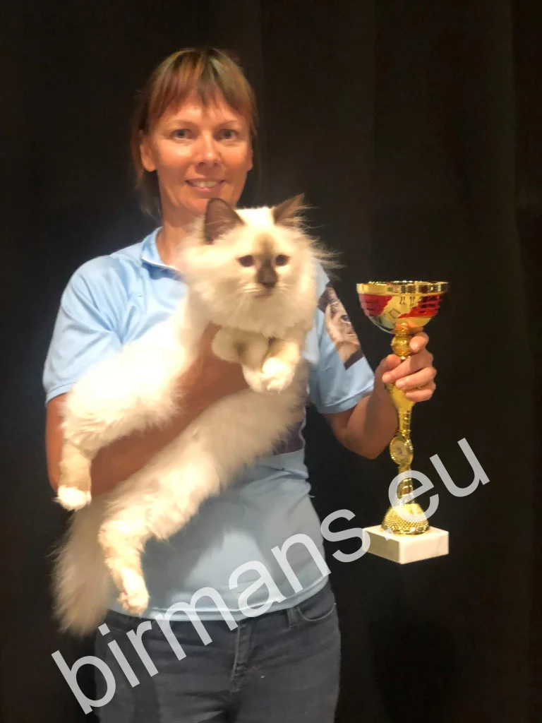 ECH Beethoven Johnnatarie E of Saba Birman copa de Europa Champion en mano