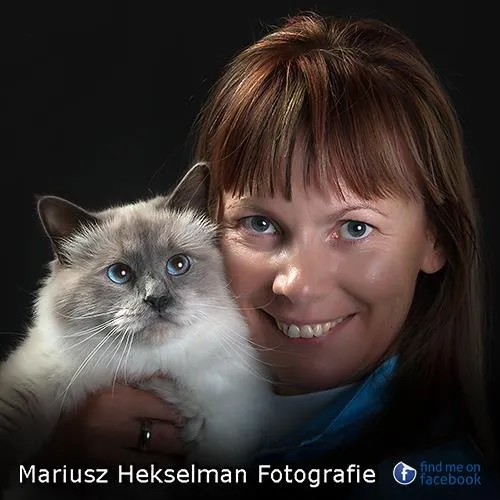 Retrato en primer plano de la criadora Saba Birman y el gato Azzurro, campeón mundial, con ojos azul celeste