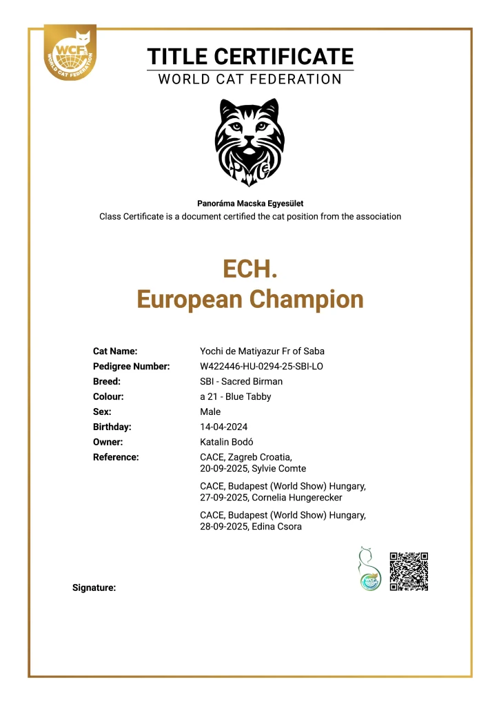 Certificado oficial WCF del título de Campeón de Europa de ECH Yochi de Matiyazur Fr of Saba, gato sagrado de Birmania. El documento certifica el título obtenido en base a los resultados de exposiciones internacionales.