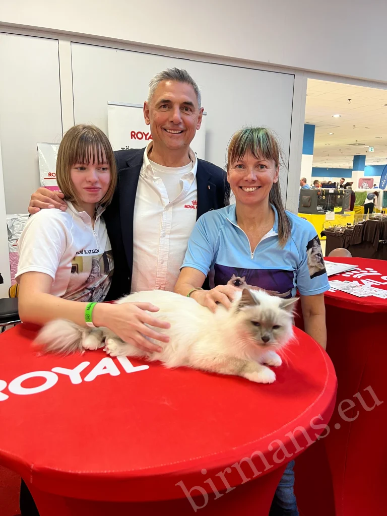 Presentación de la raza Birman en Royal Canin Podium, Budapest 2025, Saba Birman