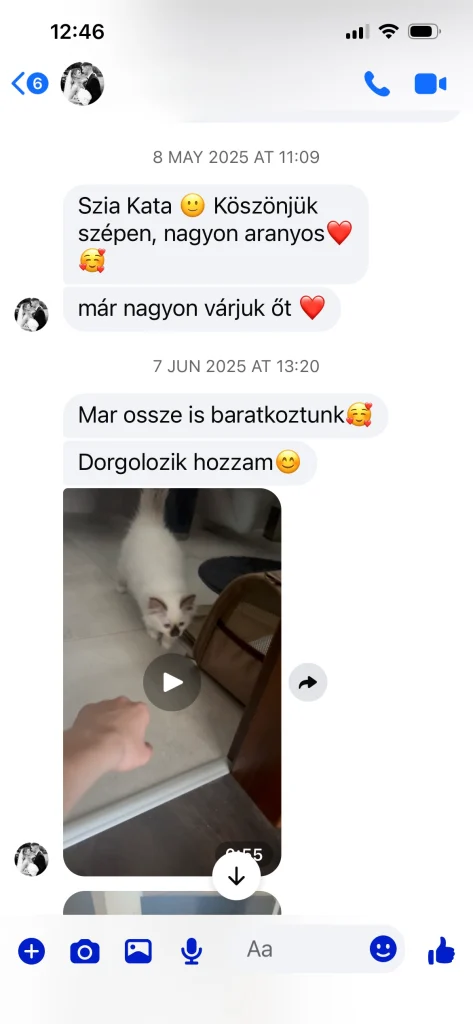 Comentarios escritos del dueño de Saba Gigi desde Hungría – opinión y experiencia real del cliente