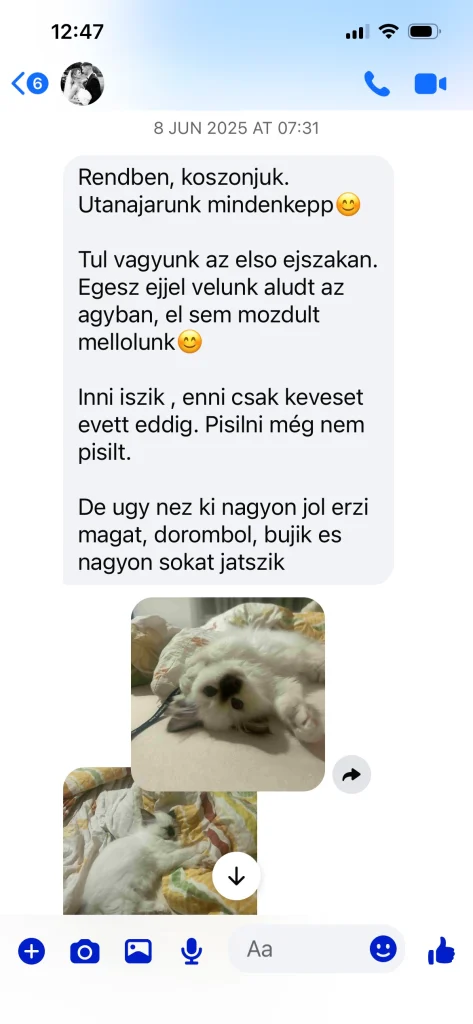 Comentarios escritos del dueño de Saba Gigi con fotos – experiencia real del cliente en Hungría