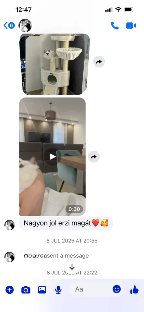 Comentarios del dueño de Saba Gigi con una cita – experiencia real del cliente e imágenes del hogar