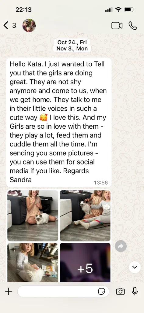 Comentarios de los dueños de Saba Nova y Saba Noelle con imágenes desde Austria – experiencia real del cliente