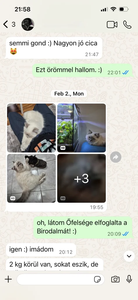 Comentarios del dueño de Saba Serenity con imágenes y una cita desde Austria – experiencia real del cliente