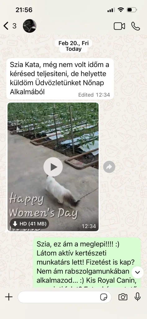 Comentarios del dueño de Saba Serenity con vídeo e imágenes desde Austria – experiencia real del cliente