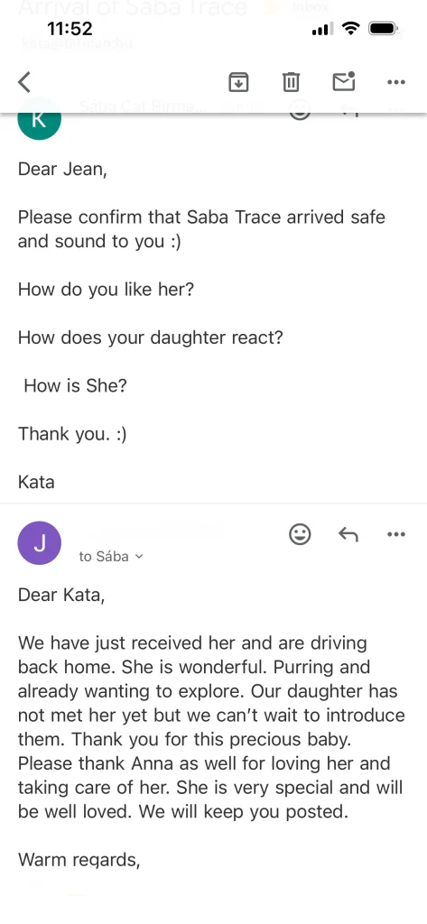 Comentarios escritos del dueño de Saba Tracie desde EE. UU. – opinión y experiencia real del cliente