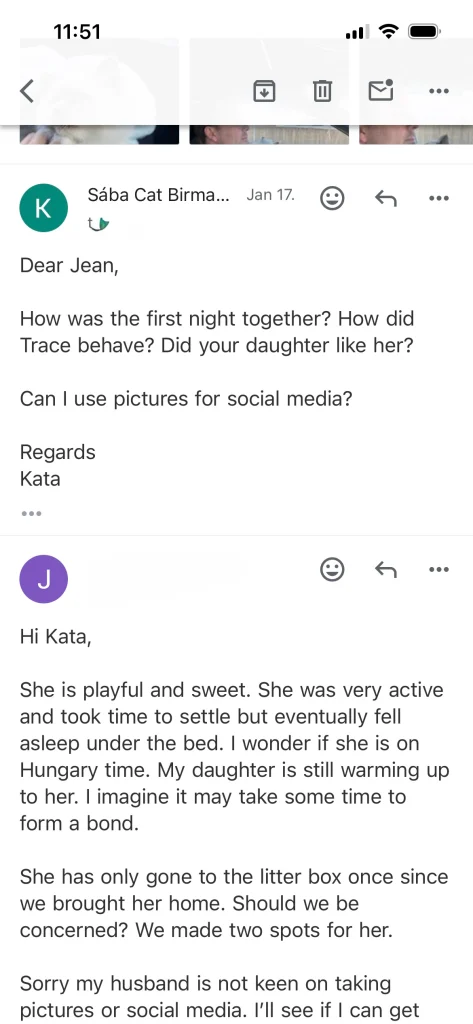 Comentarios del dueño de Saba Tracie con una cita desde EE. UU. – experiencia real del cliente