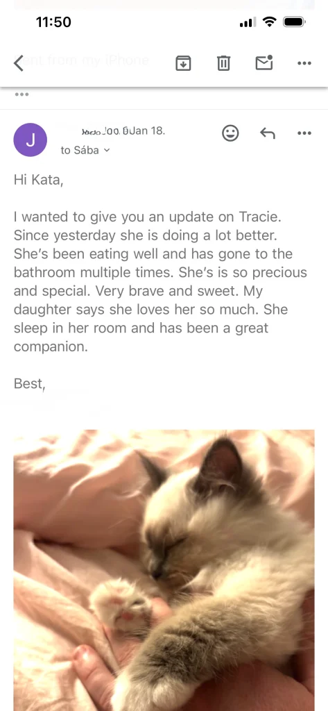 Comentarios del dueño de Saba Tracie con una imagen desde EE. UU. – experiencia real del cliente