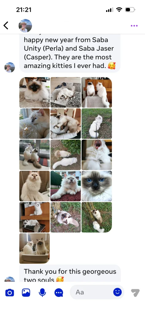 Testimonio del dueño de Saba Unity (Perla) y Saba Jasper (Gasper) de Eslovenia con texto y varias imágenes – experiencia real de un cliente