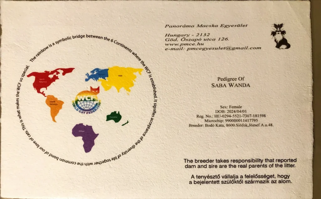 Pedigrí WCF de ICH Saba Wanda – documento oficial de origen de gato Birman