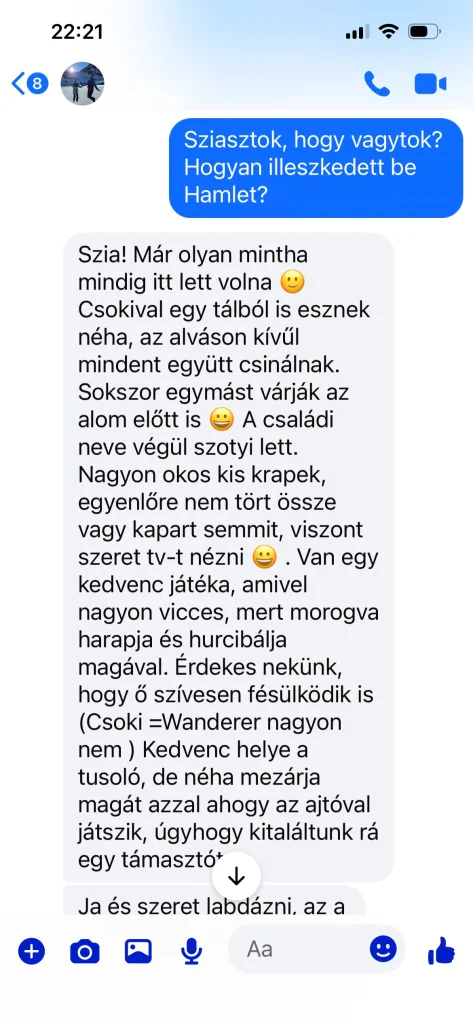 Comentarios escritos de los dueños de Saba Wanderer y Saba Hamlet desde Suiza – experiencia real del cliente