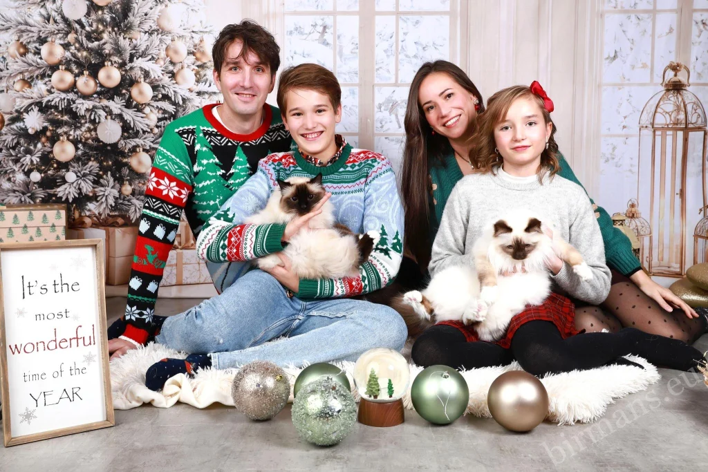 Gatos Birmanos Saba Wanderer y Saba Hamlet con la familia frente a un árbol de Navidad en Suiza – comentarios reales de clientes