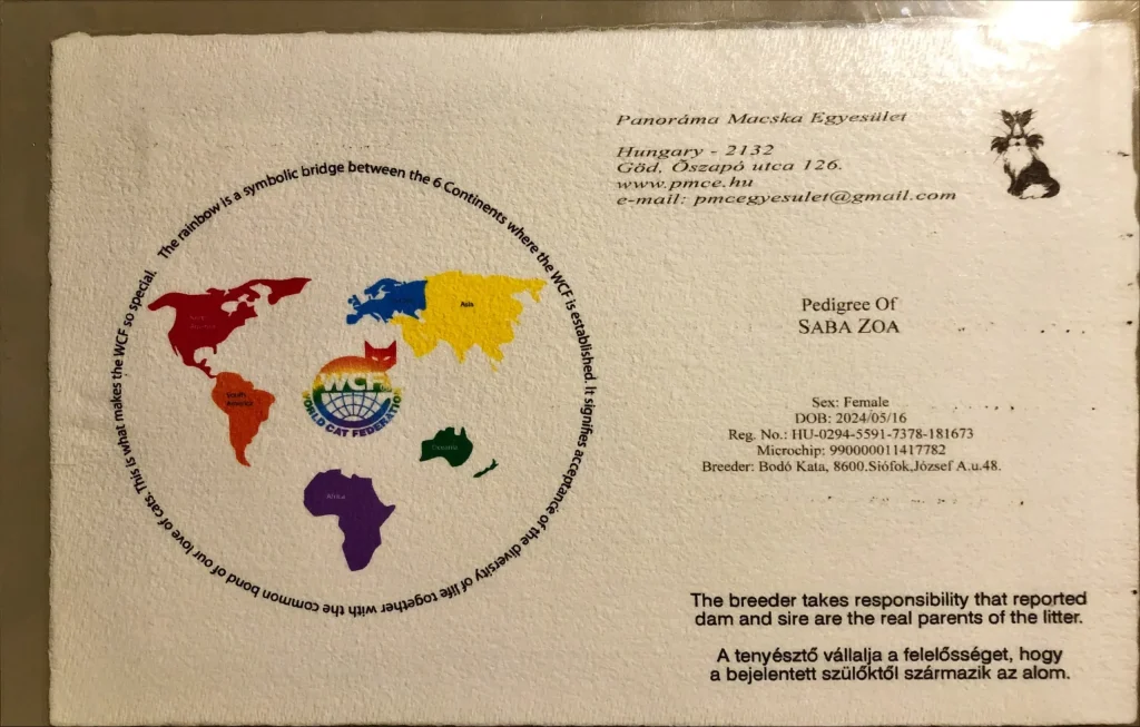 Primera página del pedigrí WCF de ICH Saba Zoa – documento oficial de gato sagrado de Birmania