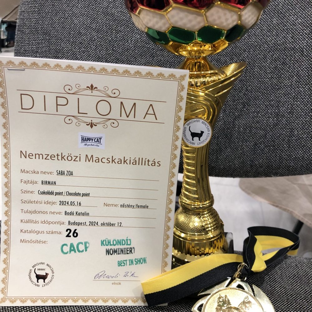 SábaCat Nemzetközi  Macskakiállítás díj